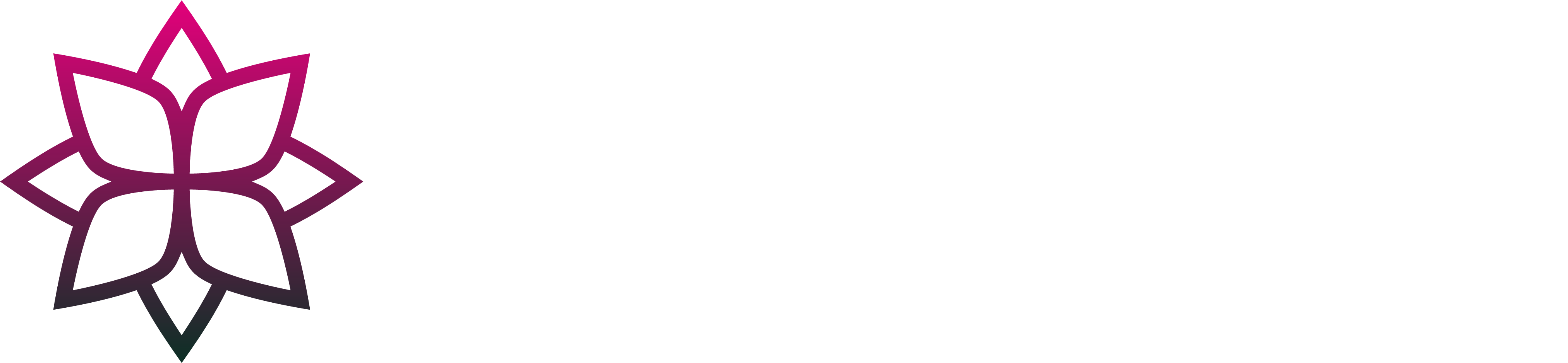 DermaVizion logo